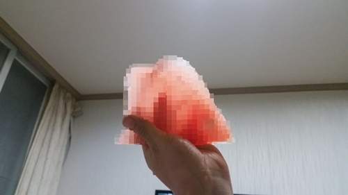 《西瓜新切法》腦婆跟我說說你怎麼辦到的？