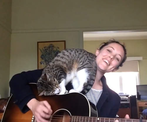 《貓咪&吉他》為何吉他的全身上下(?)都能讓貓如此著迷ΦᴗΦ 《貓咪&吉他》為何吉他的全身上下(?)都能讓貓如此著迷ΦᴗΦ