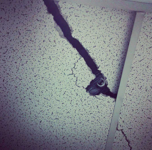 《萬聖節整人法》快來參考好應景的恐怖惡作劇ww 《萬聖節整人法》快來參考好應景的恐怖惡作劇ww