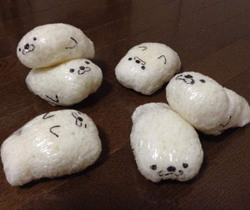 超可愛《海豹飯糰》養在冰箱裡的另類"寵物"(((^艸^))) 超可愛《海豹飯糰》養在冰箱裡的另類"寵物"(((^艸^)))