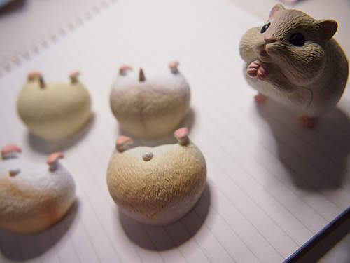 《鼠鼠系轉蛋》全身上下都是萌點  怎麼做都很可愛♥