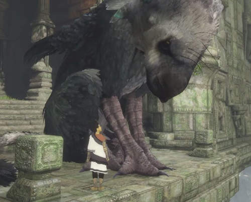 《食人巨鷹TRICO》PS4畫面正式公開 2016年真的玩得到嗎? 《食人巨鷹TRICO》PS4畫面正式公開 2016年真的玩得到嗎?