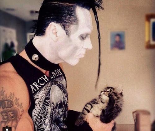 《貓與重金屬搖滾》這就是傳說中的反差萌嗎？