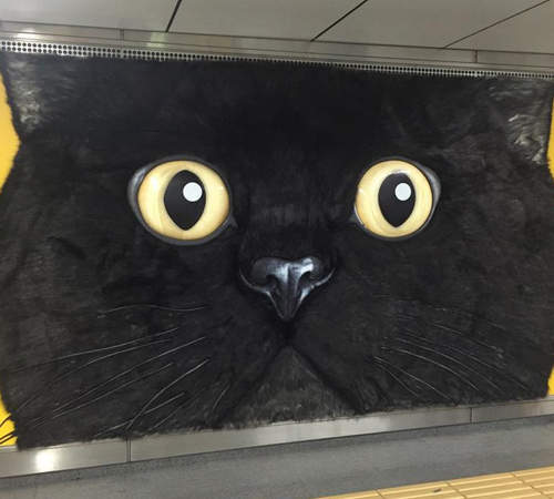 《巨型黑貓入侵》毛茸茸的立體黑貓看板好想摸一把啊~♥ 《巨型黑貓入侵》毛茸茸的立體黑貓看板好想摸一把啊~♥