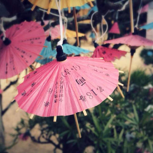 日本神社可愛《傘籤》今年的運勢是晴朗還是大雨呢? 日本神社可愛《傘籤》今年的運勢是晴朗還是大雨呢?