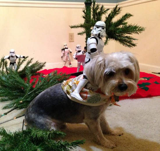 《星戰聖誕樹》動員帝國風暴兵齊上打造的可愛過程