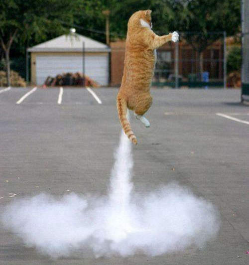 圖解《小時候想飛上天的夢》長大後只會是惡夢 還是別長大好了? 圖解《小時候想飛上天的夢》長大後只會是惡夢 還是別長大好了?