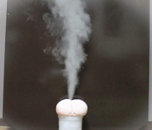 《ARuFa流水蒸式密室殺蟑事件》這是一段勇者從奮起到gg的過程 《ARuFa流水蒸式密室殺蟑事件》這是一段勇者從奮起到gg的過程