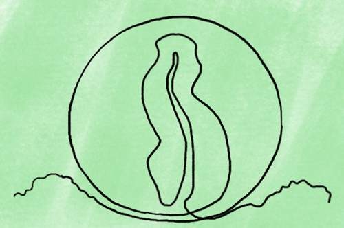 超艱難《迪士尼鐵粉測驗》只有資深影迷才能完成的題目