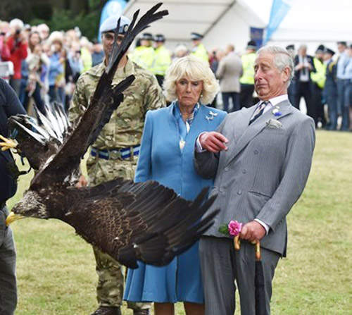 《查爾斯王子PS照》怎麼覺得還沒PS就很好笑了