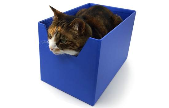 《Boxy Bed》貓咪絕對會進去的貓床誕生了www