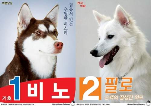 《狗狗選舉賽》想把神聖的一票投給誰呢~ 《狗狗選舉賽》想把神聖的一票投給誰呢~