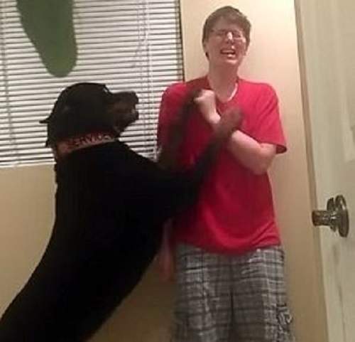 《阻止主人自殘的小狗》喚醒大眾對亞斯伯格症患者的重視 《阻止主人自殘的小狗》喚醒大眾對亞斯伯格症患者的重視