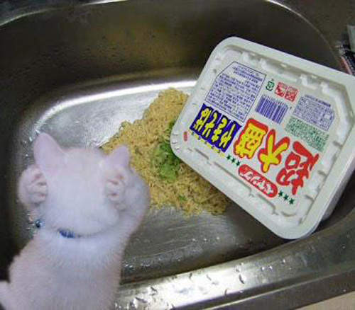 KUSO人生的一瞬之光之《淦~也太衰小了吧》