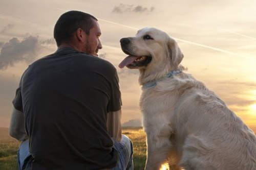 有洋蔥《忠犬排行榜》第一名就是大家都很熟悉的那隻狗狗（汪）