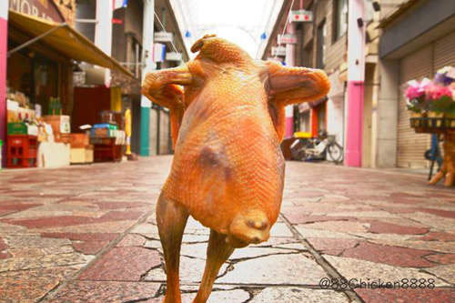 《跟烤雞一起去旅行》是的 你沒看錯~是隻真的烤雞... 《跟烤雞一起去旅行》是的 你沒看錯~是隻真的烤雞...