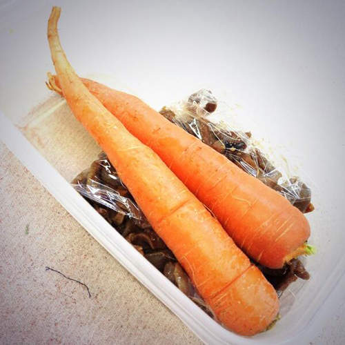 杯具啊～《女子力超低的女孩們》沒關係至少我們活得很灑脫（甩髮）