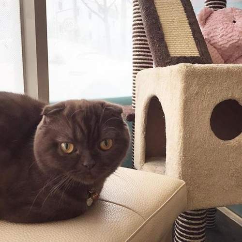 《寵物看醫生》這時候寶貝只有WTF的心聲吧XD 《寵物看醫生》這時候寶貝只有WTF的心聲吧XD