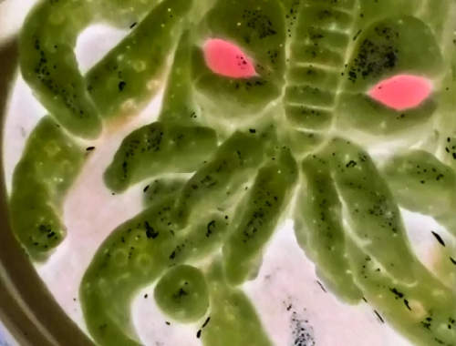 《恐怖的邪神料理》做出人家完全不想吃的食物真的這麼有趣嗎? 《恐怖的邪神料理》做出人家完全不想吃的食物真的這麼有趣嗎?