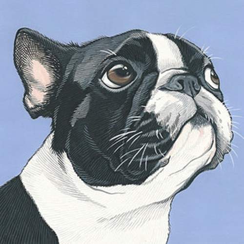 《狗奴都做過的事》全身上下都要有狗狗的東西才專業阿