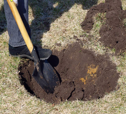 好可怕系列《不小心被活埋的真實事件》最終結局被埋的人到底有沒有得救呢 好可怕系列《不小心被活埋的真實事件》最終結局被埋的人到底有沒有得救呢