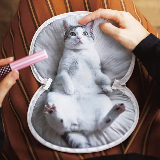 《太逼真貓咪商品》走在路上會令人忍不住回頭多看兩眼ww