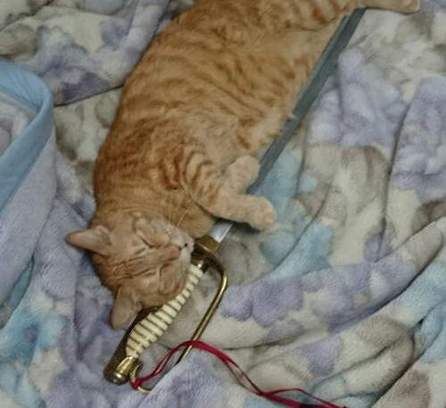 刀劍亂舞現象～審神者入手《模造刀》之後該怎麼用...？