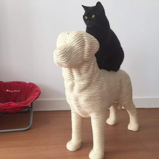 《狗狗造型貓抓塔》這真是太殘忍了(?) 《狗狗造型貓抓塔》這真是太殘忍了(?)