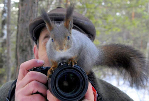 《與攝影師玩耍的動物們》就算是好奇心旺盛也太靠近鏡頭了吧♥
