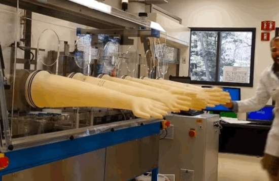 《衝過終點線擊掌》當科學家無聊時就會發生這種事