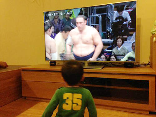 《超可愛小小相撲迷》看看他15天崩潰與歡呼的激烈反應……