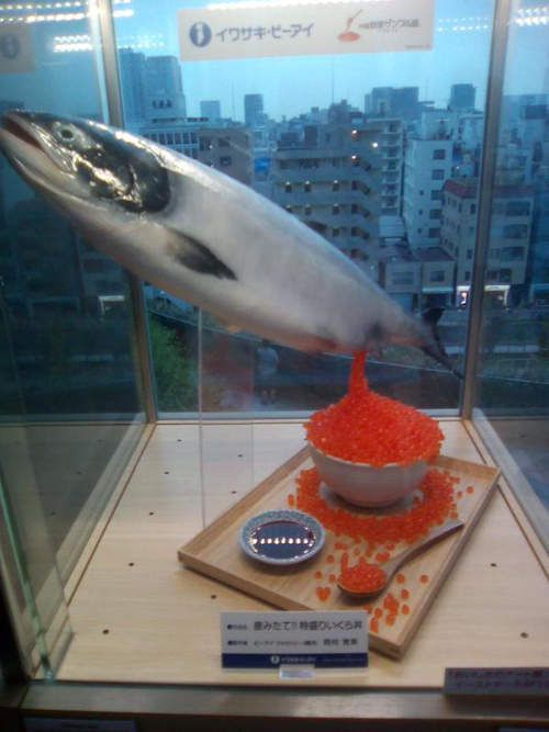 《讓人食慾全失的食品模型》之鮭魚卵丼篇　新鮮是這樣強調的嗎... - 圖片5