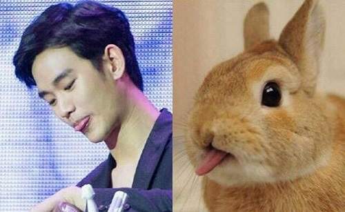 《動物顏韓星》原來金秀賢是兩大萌物的合體（眼神亮）