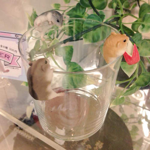 《杯緣上的倉鼠》終於這可愛的小傢伙也降落在杯緣上囉♥
