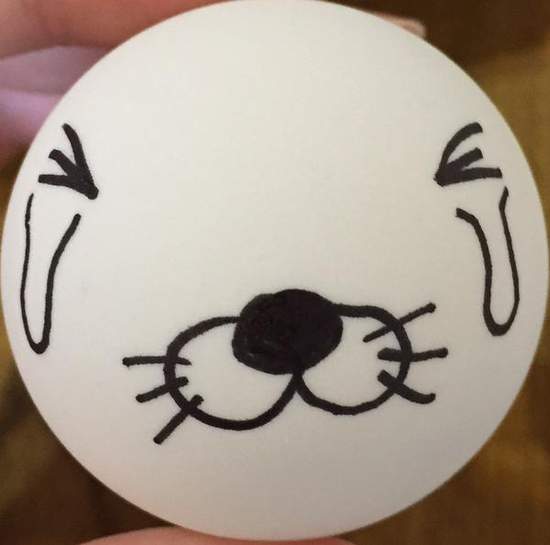 《創意桌球塗鴉》就算球掉了也很快就能知道失主是誰~ 《創意桌球塗鴉》就算球掉了也很快就能知道失主是誰~