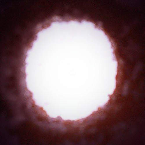 《甜甜圈的洞》竟然可以吃！？啊是要我們吃空氣嗎啊啊啊啊...