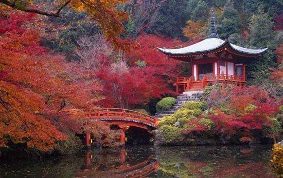 《2015遊客最愛城市TOP 10》第一名是位在日本的～