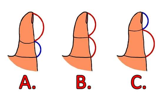 《手指與愛情觀》只要看大拇指就知道？！