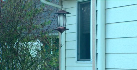 《校車奶奶的故事》每天在窗邊揮手的奶奶今天沒有出現...