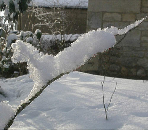 《不可思議的積雪景象》是誰偷偷動了手腳嗎ww 《不可思議的積雪景象》是誰偷偷動了手腳嗎ww