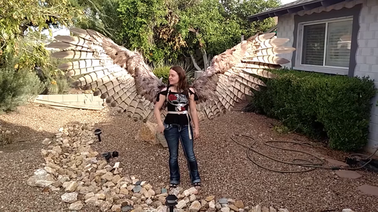 超強技術宅《自製可動式翅膀》真的可以開闔的夢幻cos神器登場 超強技術宅《自製可動式翅膀》真的可以開闔的夢幻cos神器登場