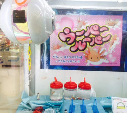 《珍奇景品夾娃娃機》第二彈一樣有活體的生物在裡面www 《珍奇景品夾娃娃機》第二彈一樣有活體的生物在裡面www