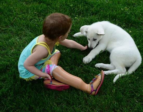 溫馨真人真事：四肢殘缺的女孩與沒有腳掌的小狗