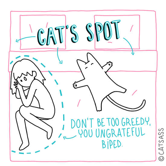 《貓咪跟人搶地方睡的10個最佳位置》貓奴絕對心有戚戚焉 《貓咪跟人搶地方睡的10個最佳位置》貓奴絕對心有戚戚焉