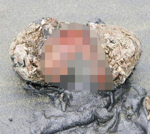 好可怕系列《會流血的石頭》只有在南美洲的智利和秘魯才找得到