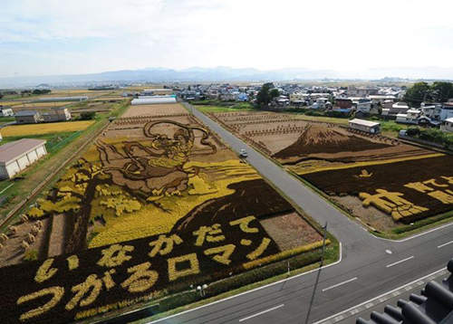 《星際大戰稻田彩繪》誰敢不好好下田 小心被複製人大軍抓走啊……