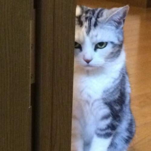 網友爆怒《Youtube影片失效事件》是哪支影片消失引起軒然大波？