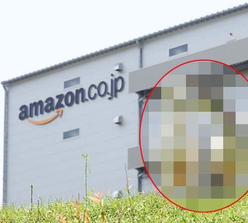 日本Amazon《期間限定除草機》今年再次出動也是寵兒 日本Amazon《期間限定除草機》今年再次出動也是寵兒