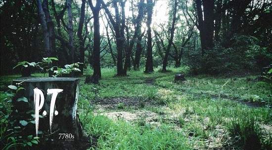 4月29日之後的《P.T.》市場只要有需求就有供給啦…