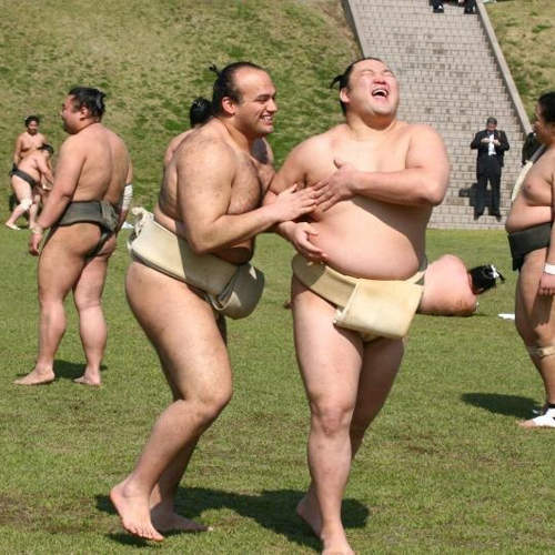 少女感超重的《日本相撲協會》這肉肉樂園裡的一切未免也太歡樂惹吧ww 少女感超重的《日本相撲協會》這肉肉樂園裡的一切未免也太歡樂惹吧ww